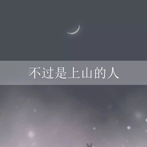 不过是上山的人