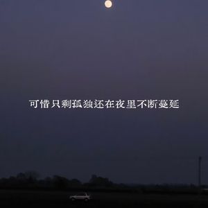 可惜只剩孤单还在夜里不断的蔓延