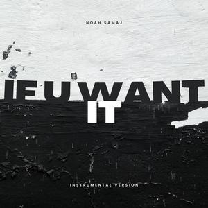 If U Want It (Instrumental Version)