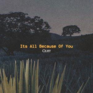 Its All Because Of You
