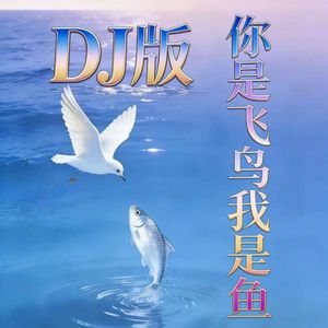 你是海鸟我是鱼