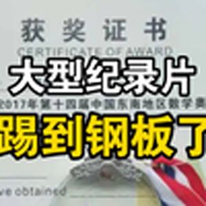 大型纪录片《踢到钢板了》