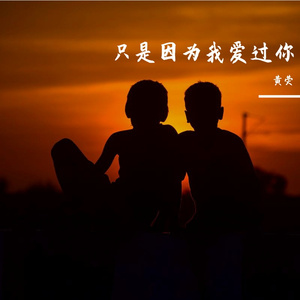 只是因为我爱过你
