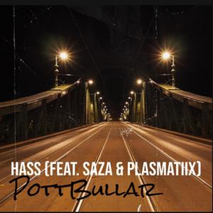 Hass (feat. SaZa & Plasmatiix)