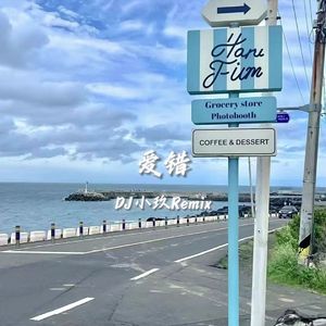 爱错（DJ小玖Remix）