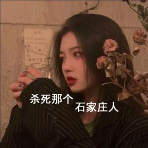 杀死那个石家庄人（抖音热播版）