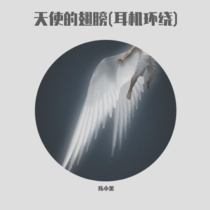 天使的翅膀～陈小果(耳机环绕)