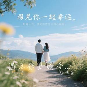 遇见你是我今生最大的幸运