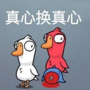 真心换真心（鹅鸭杀）
