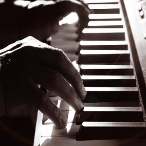 The Brown Liontooth Soldiers