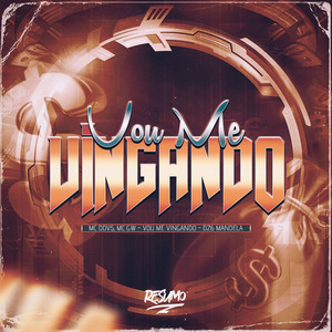 Vou Me Vingando