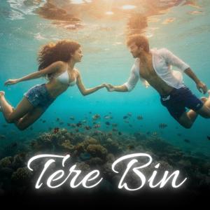 Tere Bin (feat. Vayu Samrat)