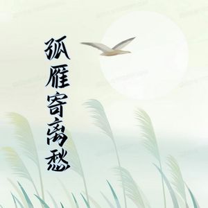 孤雁寄离愁
