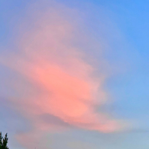 홀씨（cover:iu)