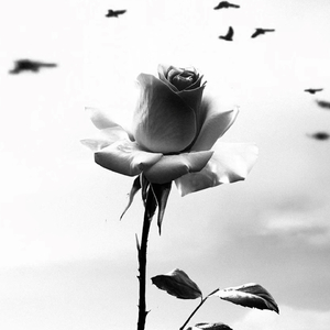 Qalqam (Slow Version)