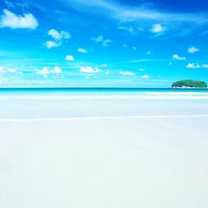 圣少女领域钢琴翻弹版