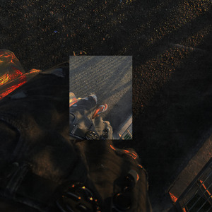 Elabagunçaminhavida