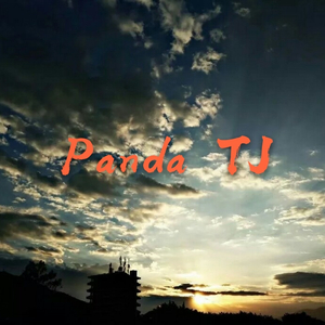Panda TJ-攀大土建