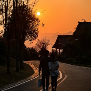 我是不是你的最爱