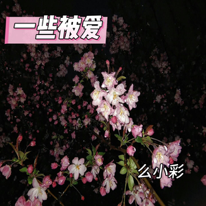 晨光山间的勇敢