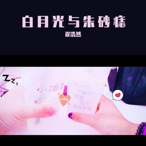 白月光与朱砂痣
