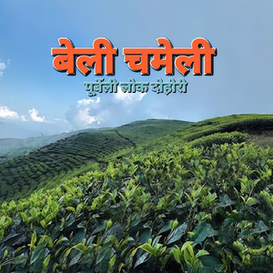 Beli Chameli