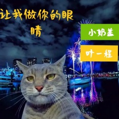 让我做你的眼睛