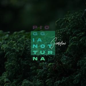 Heavy Rain Under Cover