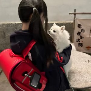 我好想念你