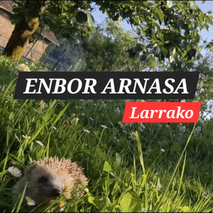 Larrako