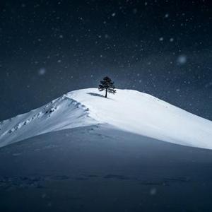 雪中路思