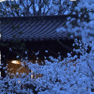 (FREE) "遇见你已是幸运" | 旋律吉他 emotion toosii type beat