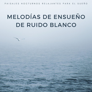 Serenidad En Ruido De Medianoche