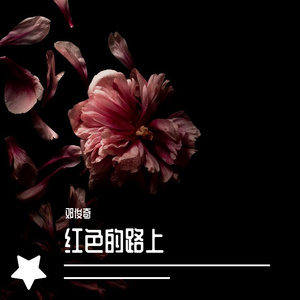 红色的路上 伴奏