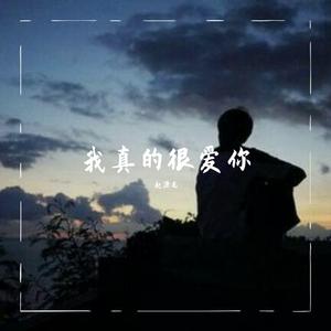 为爱付出（翻自 庄妮）