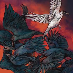 Symphony Of Construction