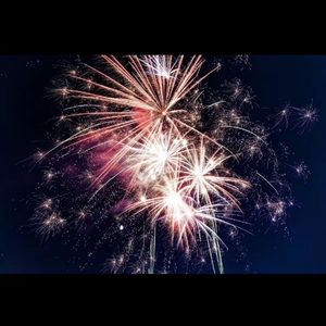 梦是鲜花海（dream is full of flower）