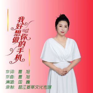 我好想做你的手机