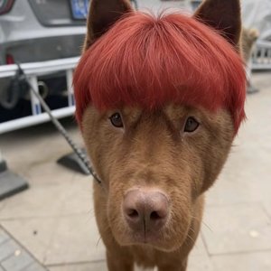 为你建的城堡 最后只困住了我