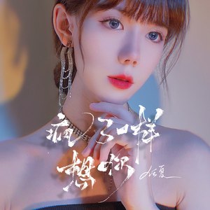 疯了一样想你 (DJ Eva版)