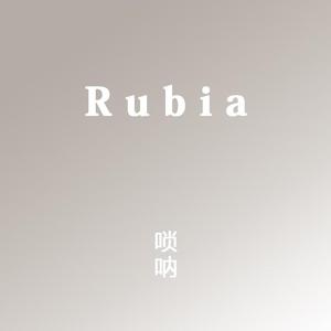 Rubia-唢呐改编版
