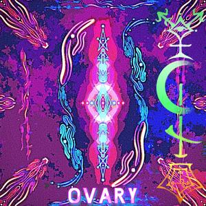 OVARY