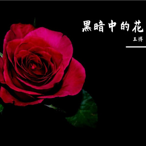 黑暗中的花(拒绝校园霸凌)