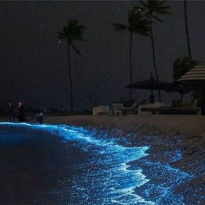 踏浪寻途