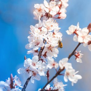 忘记不了的会梦见的