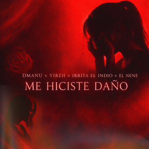 Me Hiciste Daño
