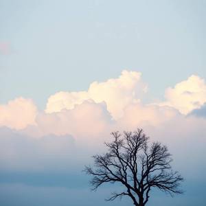 바보같은 나 (feat. sohyun & mback)