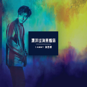 漂洋过海来看你 (DJ沈念伴奏)