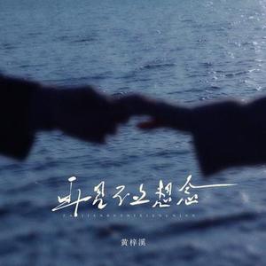 再见不止想念 (0.8x版)