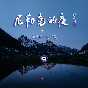 尼勒克的夜